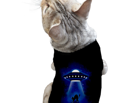 UFO Cat