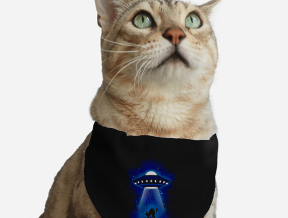 UFO Cat