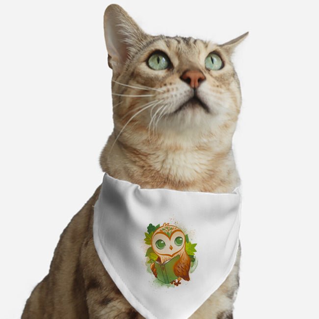 Book Owl-cat adjustable pet collar-ricolaa