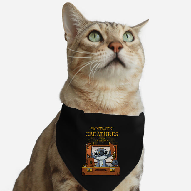 Fantastic Alien Creature-cat adjustable pet collar-ducfrench