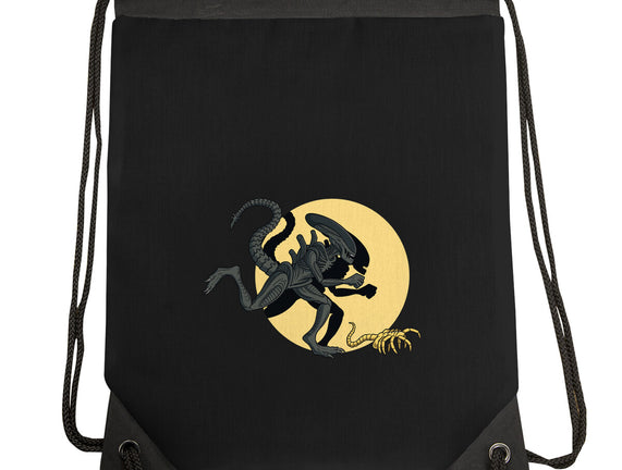 Xenomorph Adventures