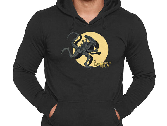 Xenomorph Adventures