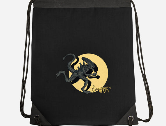 Xenomorph Adventures