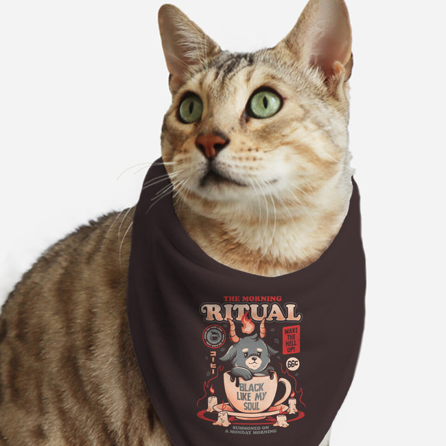 The Morning Ritual-cat bandana pet collar-eduely