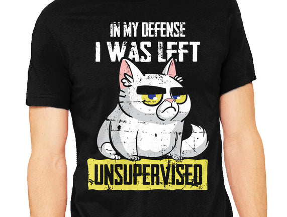 Unsupervised
