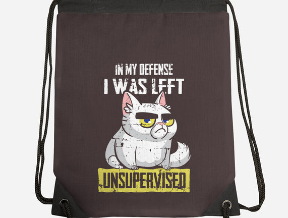 Unsupervised