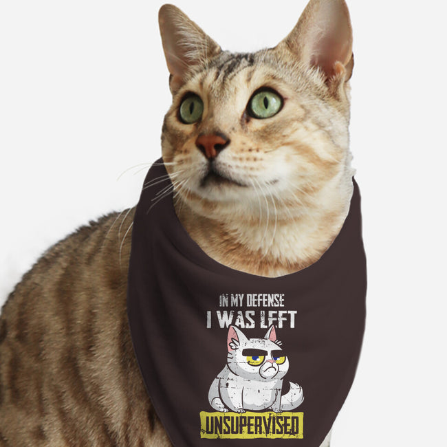 Unsupervised-cat bandana pet collar-turborat14