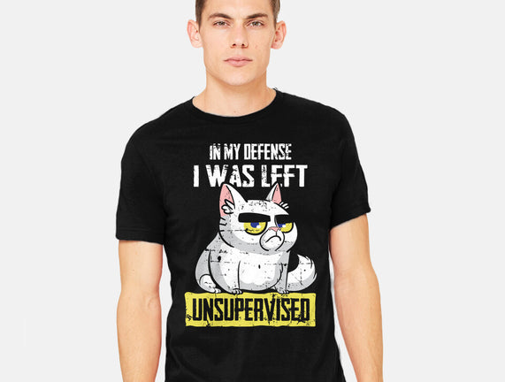 Unsupervised