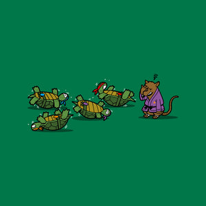Turtle Training