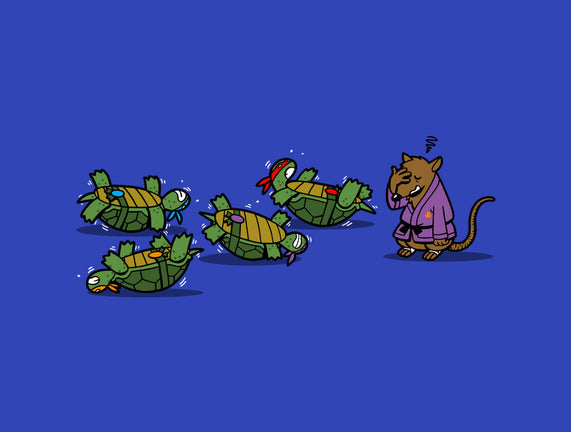 Turtle Training