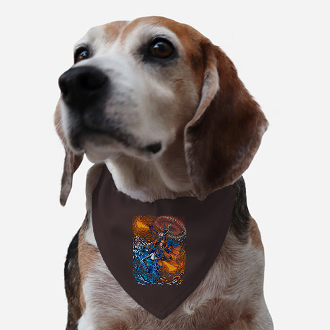 Fire And Thunder-dog adjustable pet collar-alanside