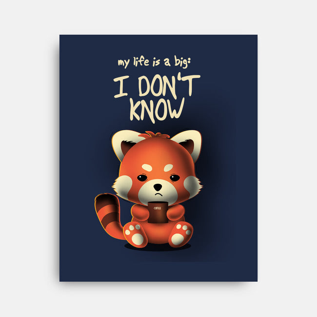 I Don't Know-none stretched canvas-erion_designs