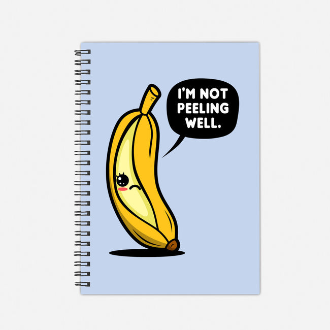 Not Peeling Well-none dot grid notebook-Boggs Nicolas