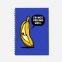 Not Peeling Well-none dot grid notebook-Boggs Nicolas