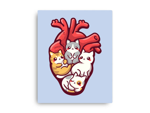 Cat Lover Anatomy