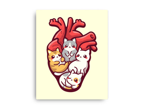 Cat Lover Anatomy