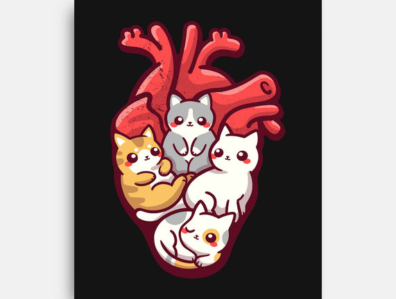 Cat Lover Anatomy