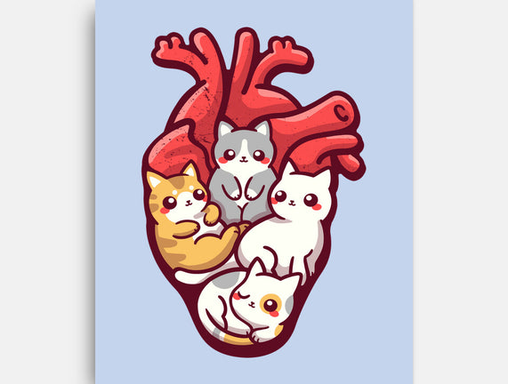 Cat Lover Anatomy