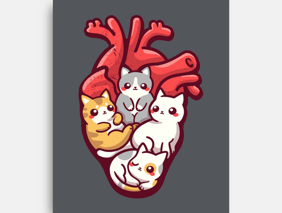 Cat Lover Anatomy