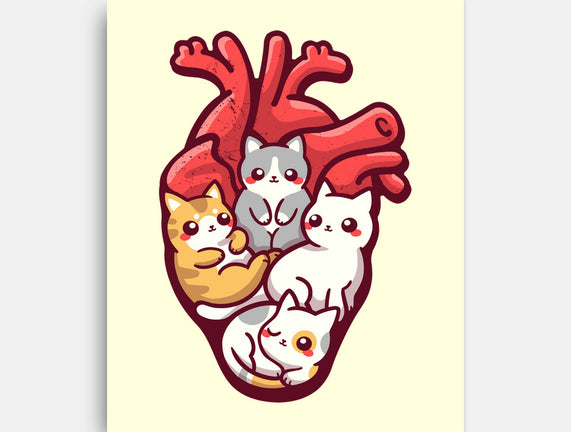 Cat Lover Anatomy