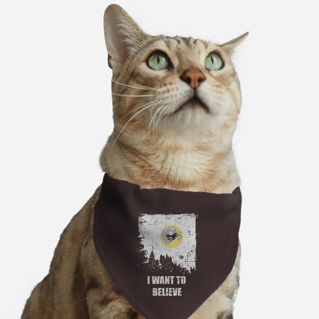 Want To Believe-cat adjustable pet collar-turborat14