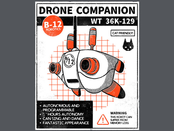 Drone Companion