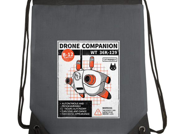 Drone Companion