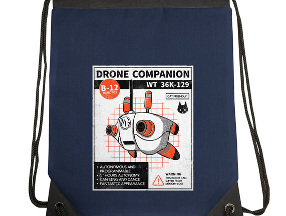 Drone Companion