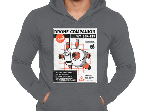 Drone Companion