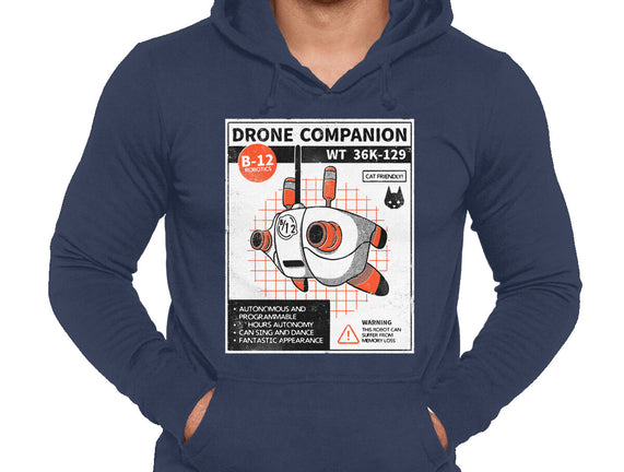 Drone Companion