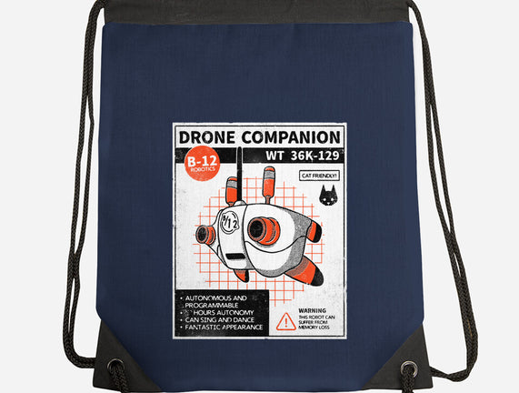 Drone Companion