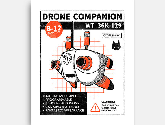 Drone Companion