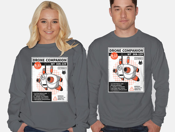 Drone Companion