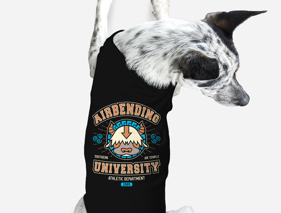 University Of Airbending