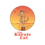 The Karate Cat-none removable cover w insert throw pillow-vp021