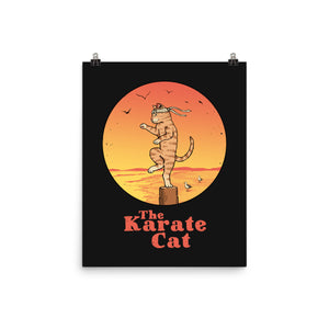 The Karate Cat