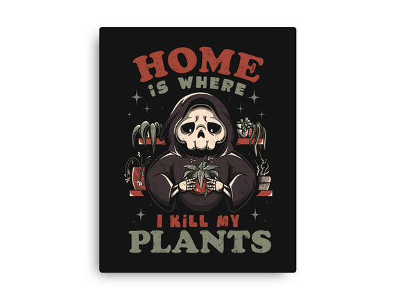 I Kill My Plants