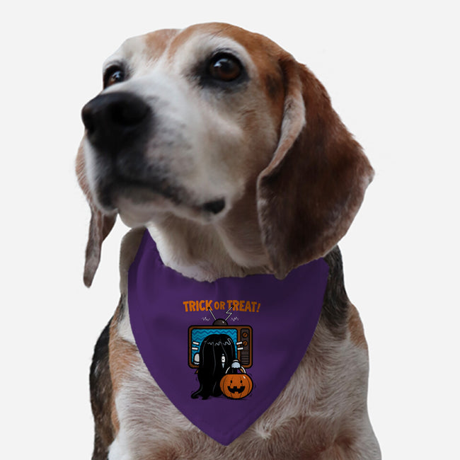 Trick Or Treat TV-dog adjustable pet collar-krisren28