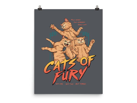 Cats Of Fury