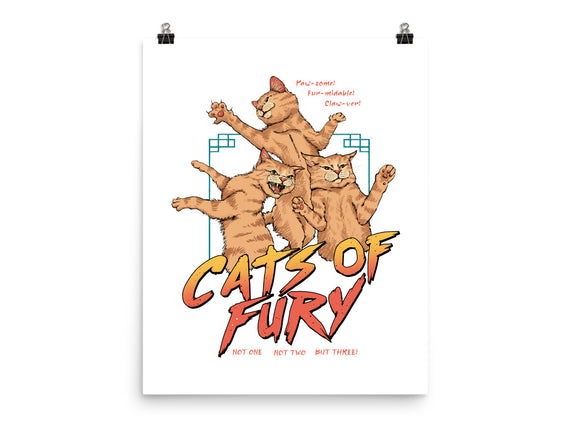 Cats Of Fury