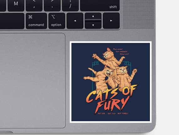 Cats Of Fury