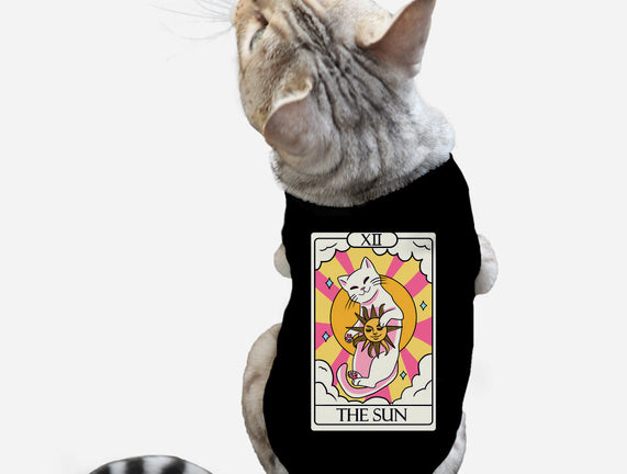 Sun Cat