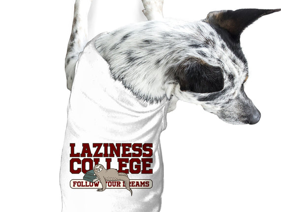 Laziness College