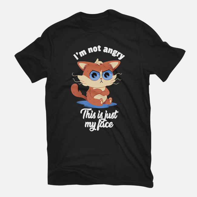 I’m Not Angry-womens basic tee-FunkVampire
