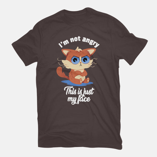 I’m Not Angry-womens basic tee-FunkVampire