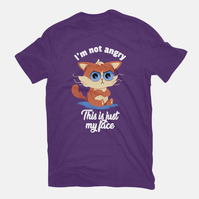 I’m Not Angry-womens basic tee-FunkVampire
