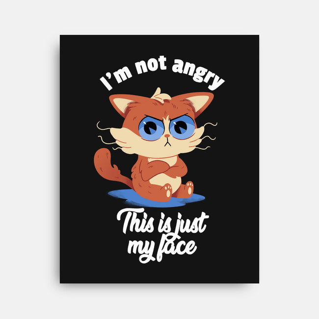 I’m Not Angry-none stretched canvas-FunkVampire