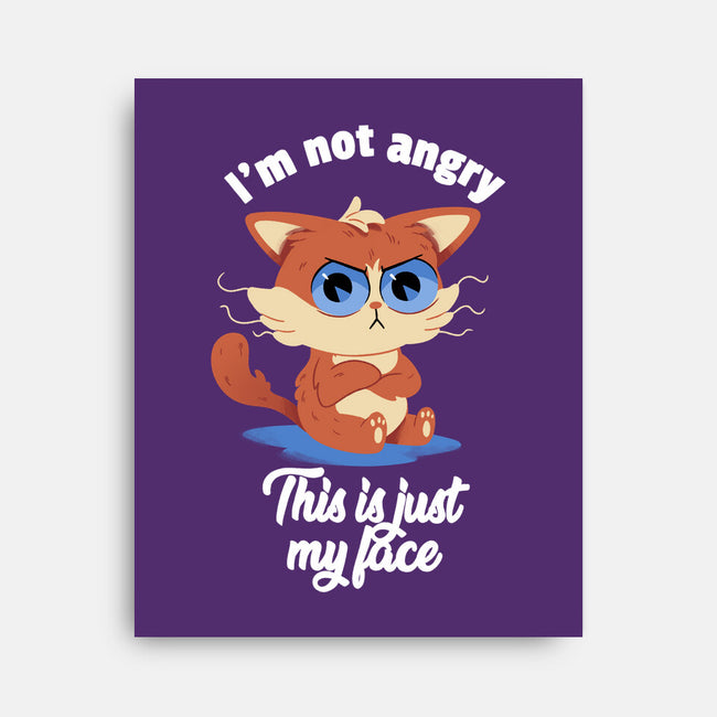I’m Not Angry-none stretched canvas-FunkVampire
