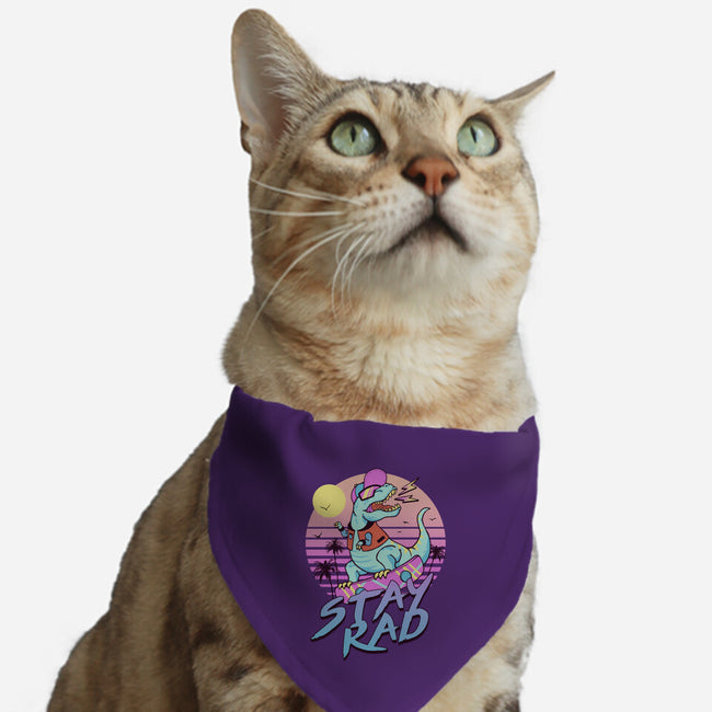 Stay Rad-cat adjustable pet collar-vp021
