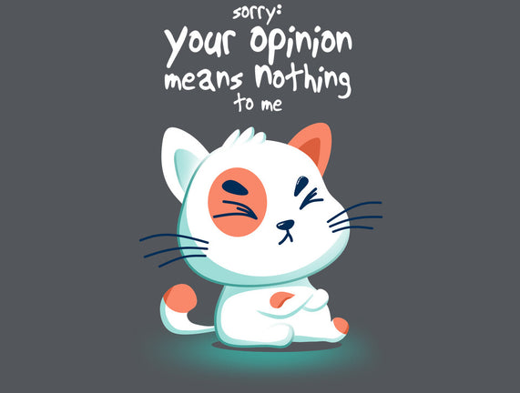 Your Opinion Means Nothing